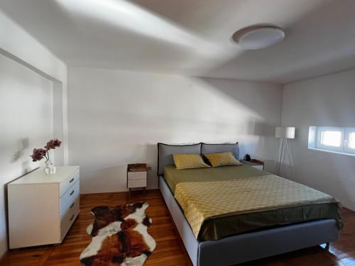 a bedroom with a bed and a dog laying on the floor at City Center Square DeLuxe Nest in Podgorica