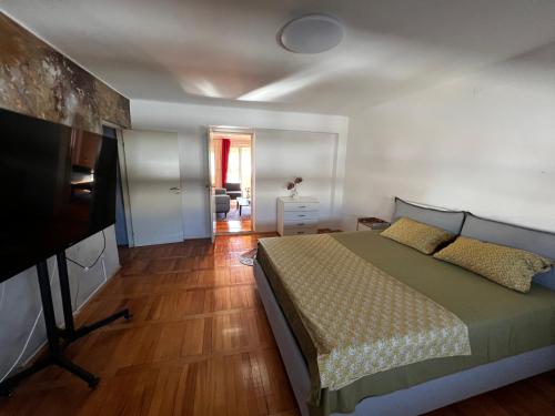 a bedroom with a bed and a flat screen tv at City Center Square DeLuxe Nest in Podgorica
