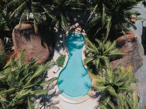 Der Swimmingpool an oder in der Nähe von Las Nubes de Holbox