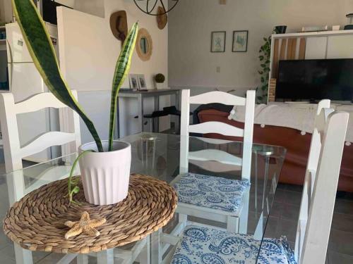 a glass table with a potted plant on a table with chairs at PataGo! Sea&Sand in Playa Unión
