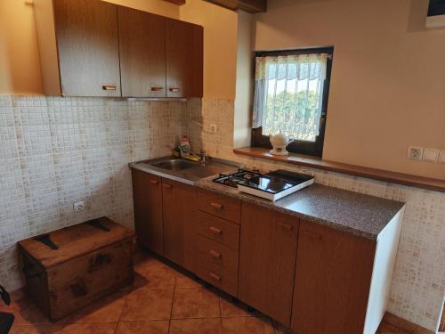 uma cozinha com um lavatório e uma bancada em Holiday house Panorama em Ozalj