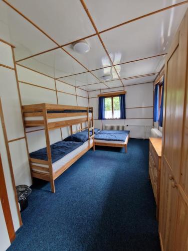 two bunk beds in a room with blue carpet at Pension Piana in Pec pod Sněžkou