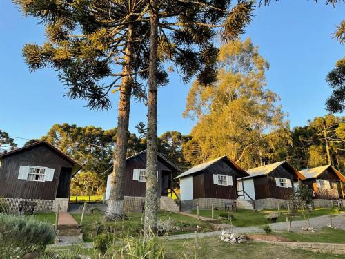 une rangée de cottages dans les bois avec des arbres dans l'établissement Pousada Cardoso, à Cambará