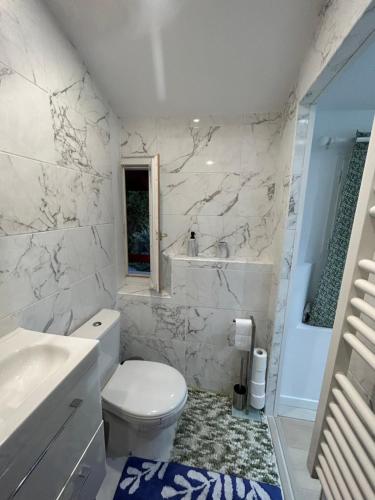 uma casa de banho branca com um WC e um lavatório em Les chambre de amour em Urrugne