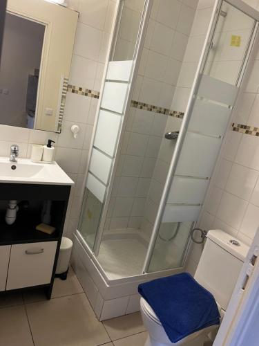 a bathroom with a shower and a toilet and a sink at Joli studio proche gare in Brétigny-sur-Orge