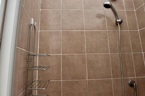 a shower with a shower head in a bathroom at Appartamento con Vista Lago in Lorica