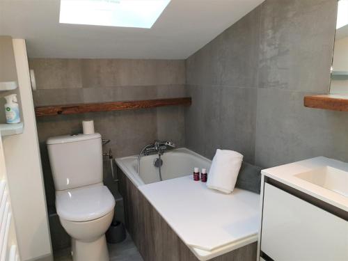 une salle de bain avec toilettes et baignoire dans l'établissement Appartement rénové, 4 pers, pied des pistes de Nyon, Morzine, parking, wifi et animaux acceptés - FR-1-754-48, à Morzine