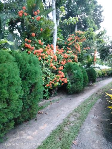 Madoldu eco resort – Photos 5