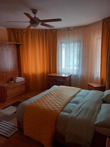 Un pat sau paturi într-o cameră la Casa Roman