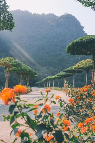a walkway with trees and flowers in front of a mountain at Thung Nham Resort in Ninh Binh