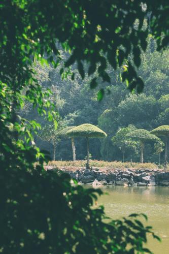 a group of umbrellas sitting next to a body of water at Thung Nham Resort in Ninh Binh