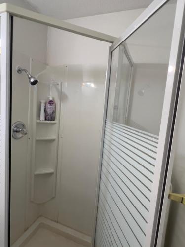 a shower stall with a glass door in a bathroom at Monashee Motel in Sicamous