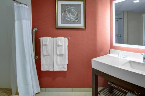 a bathroom with a white sink and a mirror at Courtyard by Marriott St. Cloud in Saint Cloud
