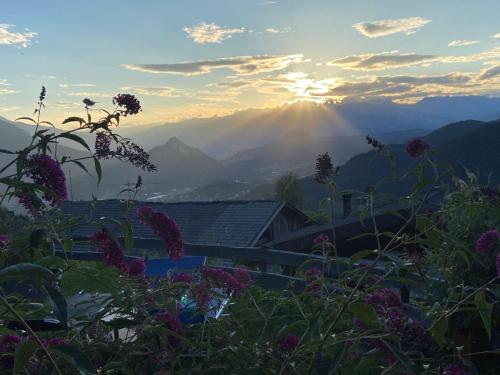 a sunset in the mountains with flowers in the foreground at Nostalgie di un tempo nelle Dolomiti in Pergine Valsugana