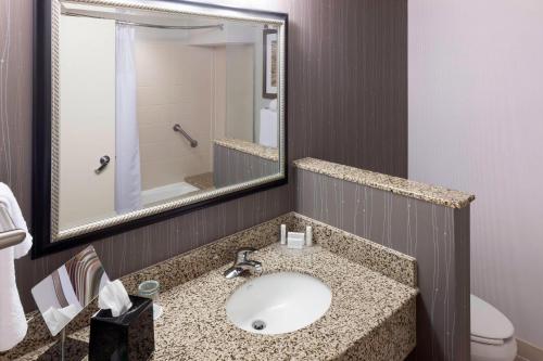 薩福克的住宿－薩福克切薩皮克庭院酒店，一间带水槽、镜子和卫生间的浴室