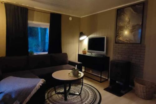 uma sala de estar com um sofá e uma televisão em Koselig hus i det gamle fiskeværet Abelvær em Abelvær