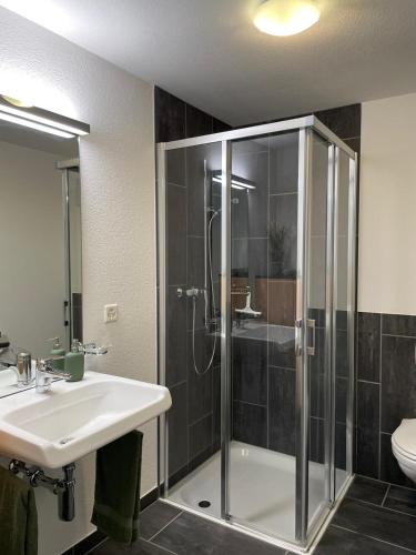 a bathroom with a shower and a sink and a toilet at 2-Zimmer Ferienwohnung an ruhiger Lage in Triesenberg