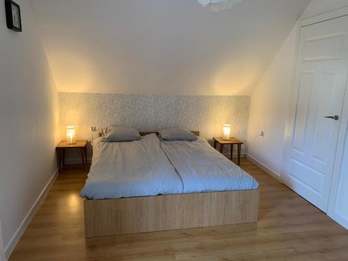 sypialnia z łóżkiem i dwoma lampami na dwóch stołach w obiekcie Dunajec Home 