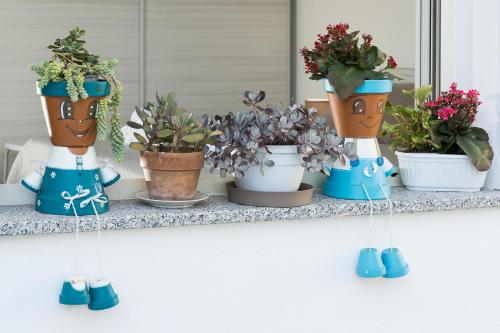 a group of potted plants sitting on a counter at Domo Bonaeras in Irgoli