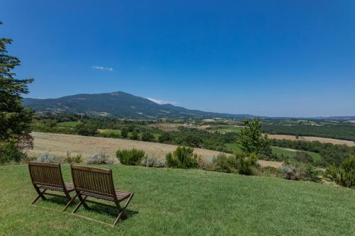 two benches sitting on top of a grassy hill at Agriturismo Spazzavento in Palazzone