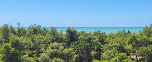 an overhead view of a forest of trees and the ocean at BELLISSIMA CASA AL MARE CON VISTA MOZZAFIATO in Golem