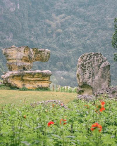 a field with flowers and a large rock formation at Thung Nham Resort in Ninh Binh