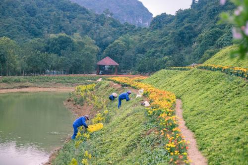 two men working in a field of flowers next to a river at Thung Nham Resort in Ninh Binh