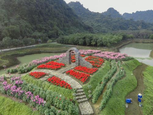 a garden with flowers in the middle of a lake at Thung Nham Resort in Ninh Binh