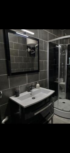 une salle de bain avec un lavabo, un miroir et une douche dans l'établissement 101 Studio en plein cœur historique de Bourges, à Bourges