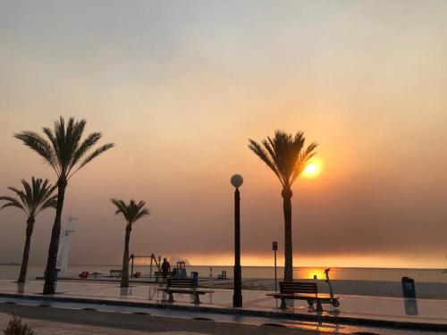 a group of palm trees on a beach with a sunset at Sunylife in Albir