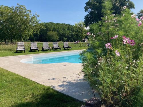 uma piscina com espreguiçadeiras e flores em La Vignellerie du Lac em Hommes