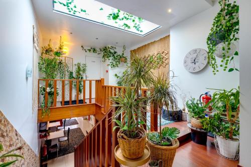 Φωτογραφία από το άλμπουμ του Garden in Town Hostel στο Πόρτο