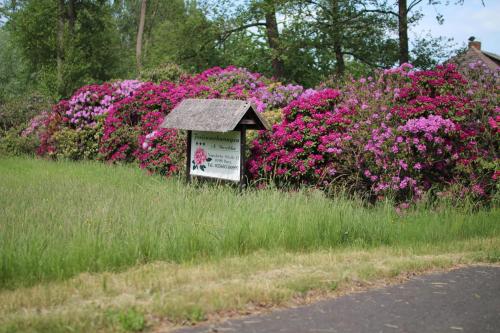 a garden with pink flowers and a sign next to a road at Ferienwohnung Duschka "Direkt am Fließ" in Kolonie