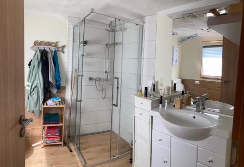 a bathroom with a glass shower and a sink at Tiny House Anneliese Hunde okay in Oberbettingen