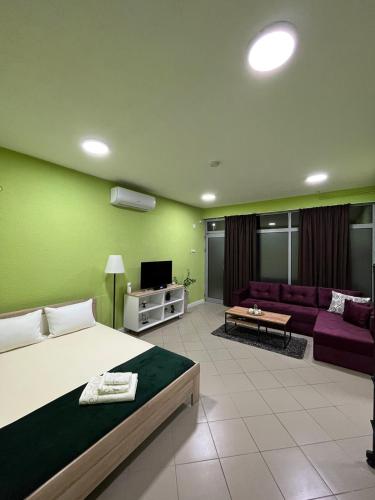 Green Apartment في ستروميكا: غرفة كبيرة بها سرير وأريكة