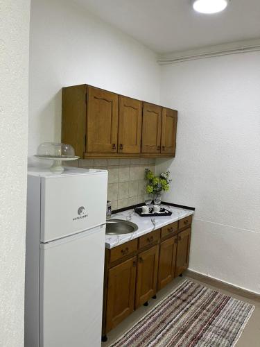 a kitchen with a white refrigerator and wooden cabinets at Green Apartment in Strumica