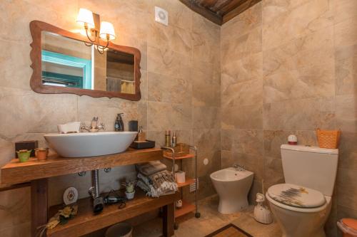 a bathroom with a sink and a toilet and a mirror at Casa da Avó Emília in Arganil