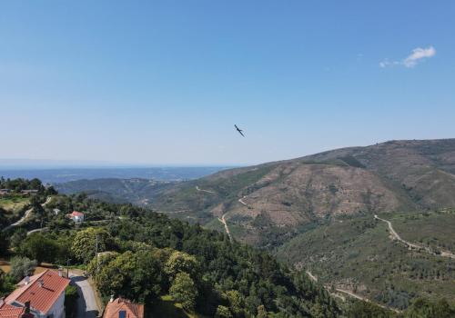 an aerial view of a valley with trees and mountains at Casa da Avó Emília in Arganil