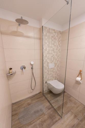 a bathroom with a toilet and a glass shower stall at Amalija Apartments in Strunjan