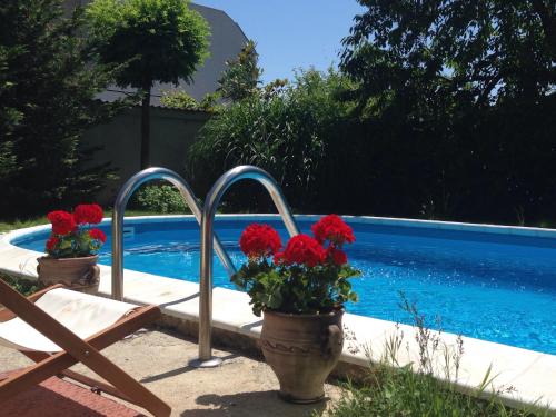 Swimmingpoolen hos eller tæt på Sunny villa Boutique Varna