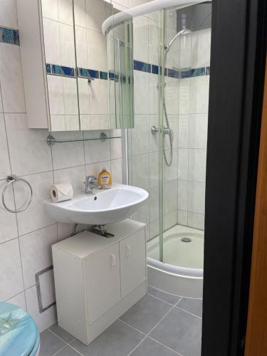 a bathroom with a sink and a shower at Ferienpark Fedderwardersiel in Fedderwarderdeich