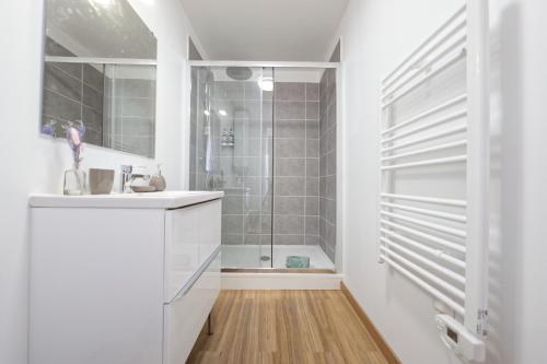 une salle de bain avec douche et lavabo dans l'établissement Le Pyrénid - 3 personnes - bureau & wifi, à Perpignan