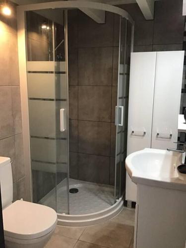 une salle de bain avec une douche, des toilettes et un lavabo dans l'établissement Golfe de Sagone Plage du Liamone Maison pieds dans l'eau, à Casaglione
