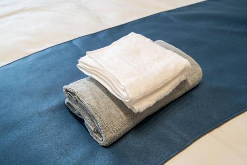 Fotografie z fotogalerie ubytování Rea新小岩2丁目403 v Tokiu