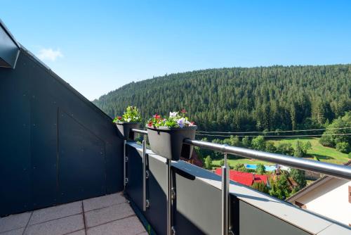a balcony with two potted plants on the railing at Haus Erika Ferienwohnung 2 in Bad Teinach-Zavelstein
