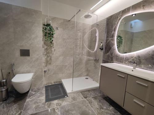 a bathroom with a toilet and a sink and a mirror at Luxury Apartments Deskati A1 