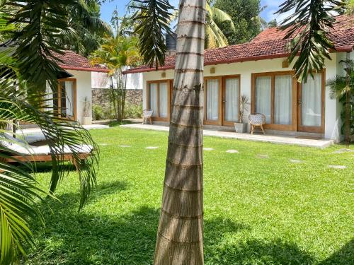 una palmera en el patio de una casa en Kanferri Villa, en Ahangama