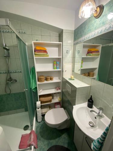 a bathroom with a sink and a toilet and a shower at Mieszkanie w centrum Giżycka in Giżycko