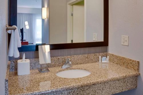 a bathroom counter with a sink and a mirror at Courtyard Statesville Mooresville/Lake Norman in Statesville