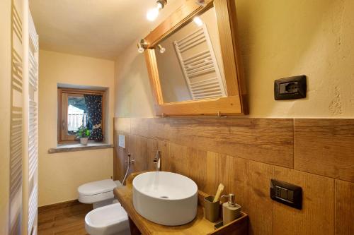 a bathroom with a sink and a toilet and a mirror at Chalet 1175 in Arvier